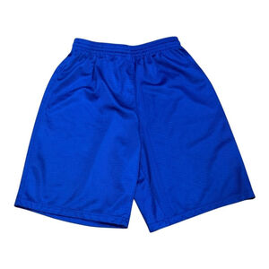 Alleson Athletic Shorts Mens Medium Blue Mesh Basketball Gym Running Training